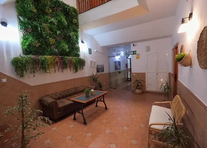 Hotel: Hostal Canalejas